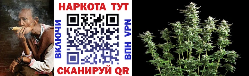 Где можно купить наркотики Купино Канабис  Меф мяу мяу  Галлюциногенные грибы  Гашиш  Cocaine  СОЛЬ 