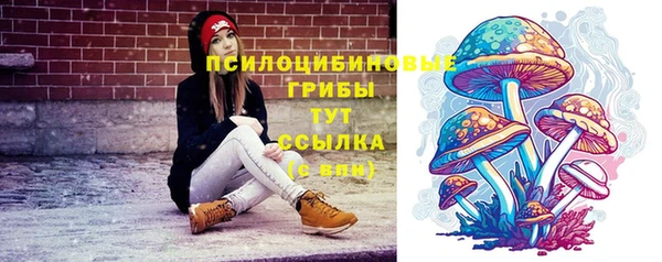 дурь Горнозаводск
