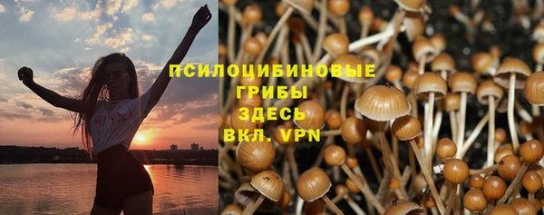 дурь Горнозаводск