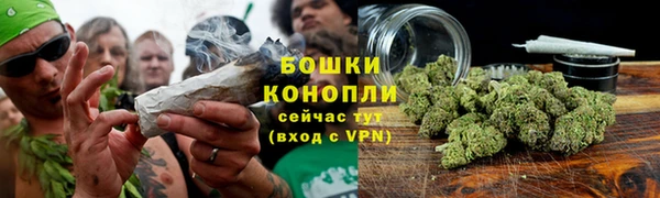 сатива Горно-Алтайск