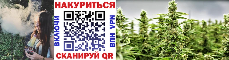 что такое   Купино  Шишки марихуана SATIVA & INDICA 
